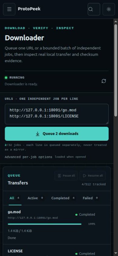 ProtoPeek v0.5.0 Downloader queue at a 390 by 844 responsive viewport